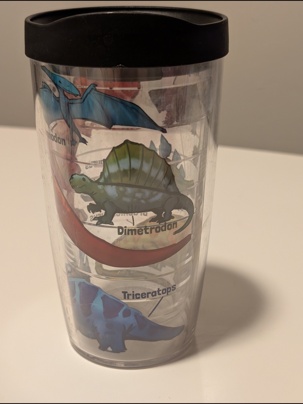 Clear Dinosaur Travel Tumbler with Black Lid - Dimetrodon & Triceratops